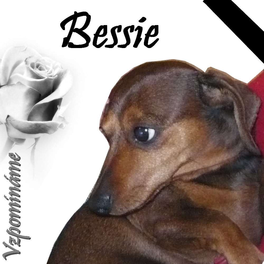 Bessie